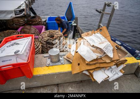 Recyceln von Pappe nach einem Angelausflug auf einem Boot in australien Stockfoto