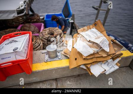 Recyceln von Pappe nach einem Angelausflug auf einem Boot in australien Stockfoto