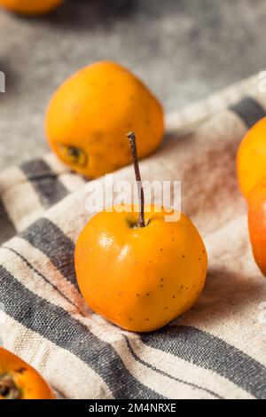 Rohe Orange Organic Tejocote Äpfel in einem Haufen Stockfoto