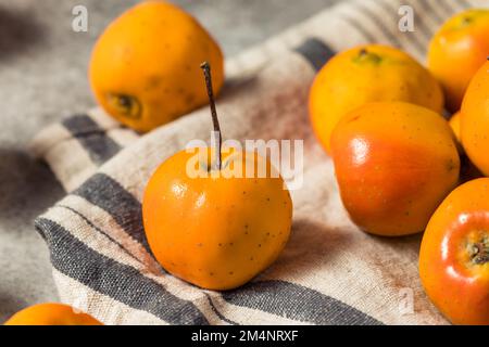 Rohe Orange Organic Tejocote Äpfel in einem Haufen Stockfoto