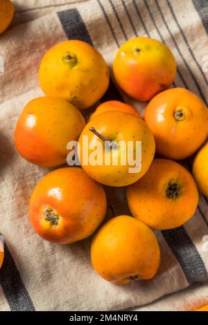 Rohe Orange Organic Tejocote Äpfel in einem Haufen Stockfoto