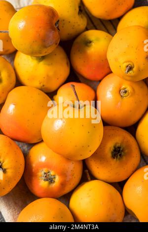 Rohe Orange Organic Tejocote Äpfel in einem Haufen Stockfoto