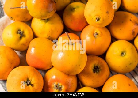 Rohe Orange Organic Tejocote Äpfel in einem Haufen Stockfoto