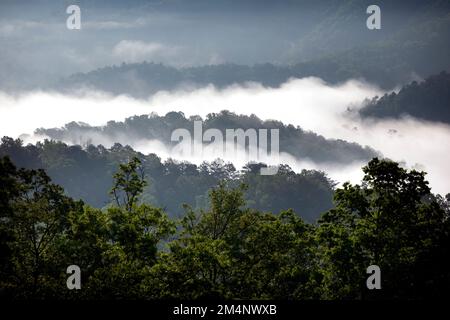 TN00147-00....Tennessee - Nebel und rollende hils vom Foothils Parkway, Teil des Nationalparksystems. Der parkway befindet sich westlich der Gr Stockfoto