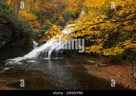 Dingmans Falls in den Poconos in Pennsylvania, umgeben von Herbstfarben Stockfoto