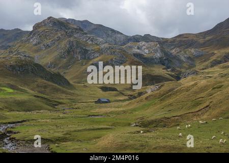 Landschaft der Pyrenäen mit abgelegenem Bauernhaus an der französischen und spanischen Grenze, Col du Pourtalet, Nouvelle-Aquitaine Frankreich Stockfoto