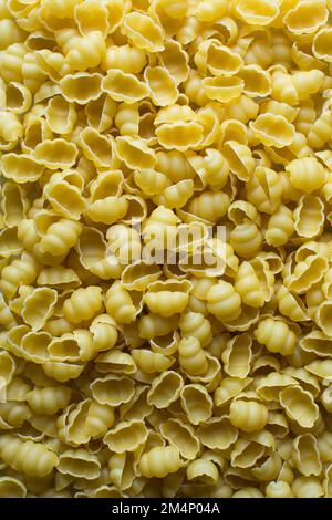 Flache Lage mit ungekochten Nudelschalen von Gnocchetti, Draufsicht mit Nudelschalen von Gnocchi, trockene ungekochte Makkaroni Stockfoto