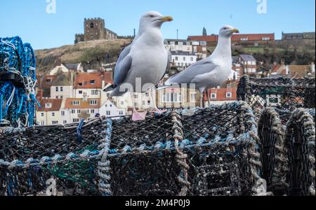 Whitby, Whitby, ist ein, Küstenstreifen, Stadt, Hafen, Und eine zivile Gemeinde in der Gemeinde Scarborough, North Yorkshire, England. Whitby liegt an der Ostküste von Yorkshire an der Mündung des Flusses Esk und hat ein maritimes, mineralisches und touristisches Erbe. Stockfoto