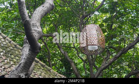 Lampenlampe aus gewebtem Bambusbezug, die im öffentlichen Park im Baum hängt Stockfoto