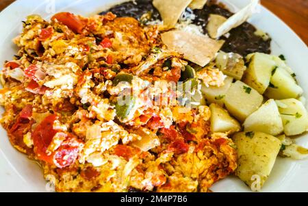 Mexikanisches Omelett mit schwarzen Bohnen Kartoffeln und Nachos auf weißem Teller in El Cafecito in Zicatela Puerto Escondido Oaxaca Mexiko. Stockfoto