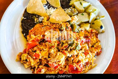 Mexikanisches Omelett mit schwarzen Bohnen Kartoffeln und Nachos auf weißem Teller in El Cafecito in Zicatela Puerto Escondido Oaxaca Mexiko. Stockfoto