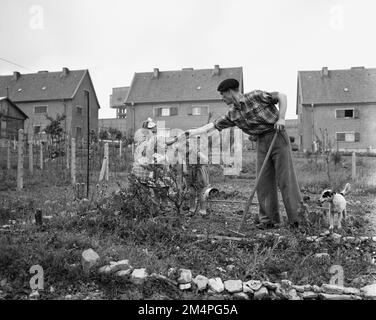 Arbeit - Force Ouvriere Arbeiter zu Hause. Fotos von Marshall-Plan-Programmen, Ausstellungen und Personal Stockfoto