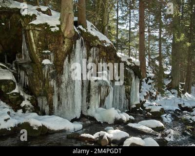 Eisfall in der Schlucht der Menzenschwanderalb, Winter, St. Blasien, Schwarzwald, Deutschland Stockfoto