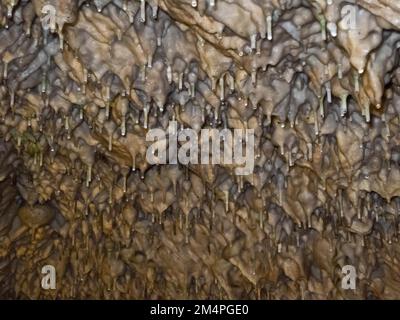 Stalaktitenformationen im Baerenhoehle, Karlshoehle, Erpfinger Hoehle, Stalaktitenhöhle, zum UNESCO-Weltkulturerbe gehörender Schwabenalbengeopark, Schwabenalb Stockfoto