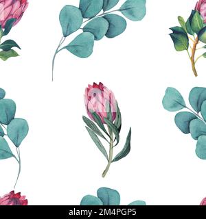 Wasserfarbenes, nahtloses Muster mit magentafarbenem protea, blühenden Blüten im Hintergrund und proteablättern. Stockfoto