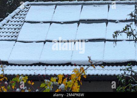 Schneebedeckte Photovoltaikpaneele auf einem Garagendach, Bayern Stockfoto