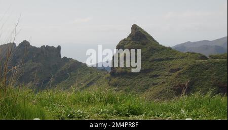 Masca-Tal mit gelben Blumen im Vordergrund. Teneriffa, Kanarische Inseln, Spanien Stockfoto