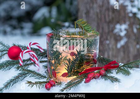 Eislaterne mit Rosenhüften und Eibenzweigen als weihnachtsdekoration Stockfoto