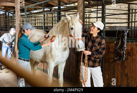 Zwei Frauen kämmen und putzen Mantel von weißem Pferd in Stall Stockfoto