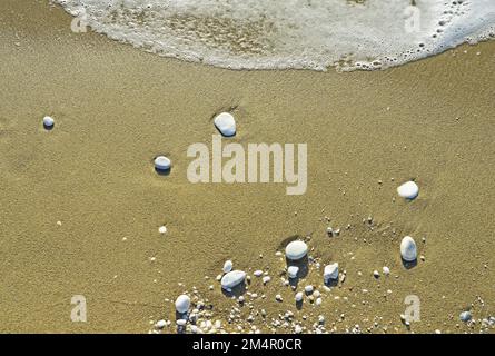 Meeresschaum und weiße Kieselsteine unterschiedlicher Größe auf dem nassen Sand am Ufer des Ligurischen Meeres bei Pisa in Italien. Selektiver Fokus Stockfoto