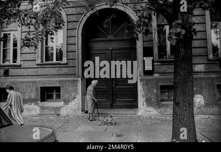 DDR, Berlin, 07. 05. 1989, Oranienburger Straße, ältere Frau mit Hund Stockfoto