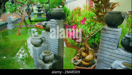 Wunderschöner Blick auf den Garten mit grünem Rasen und Blumentöpfen an warmen Regentagen. Frangipani rosa Blüten. Regenzeit in Asien. Gartendesign. Stockfoto