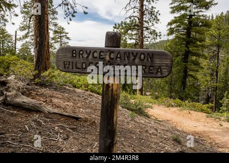 Bryce Canyon Wilderness-Schild mit leerem Pfad Stockfoto