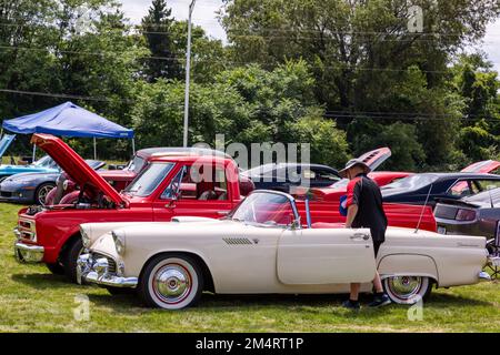 Ein Mann steigt in seinen weißen 1955er Ford Thunderbird, der auf einer Autoausstellung in Fort Wayne, Indiana, USA, im Gras geparkt ist. Stockfoto