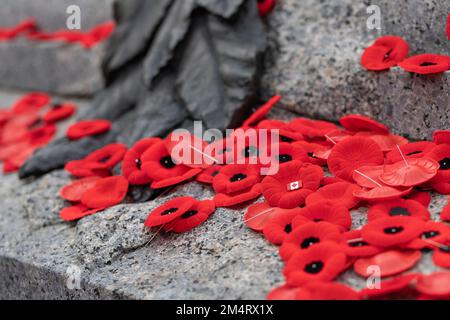 Remembrance Day rote Mohnblumen auf dem Grab des unbekannten Soldaten in Ottawa, Kanada Stockfoto