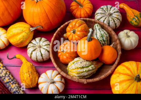 HerbstKürbisse im Korb mit Kürbissen auf den Roten Brettern Stockfoto