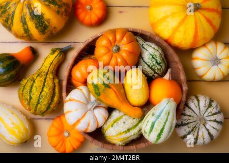 Stillleben Am Herbstmorgen Stockfoto