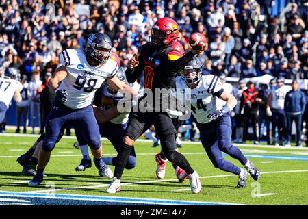 Der Quarterback von Ferris State Bulldogs Mylik Mitchell (0) kehrt im ersten Quartal der NCAA Division II National Championship College zurück Stockfoto