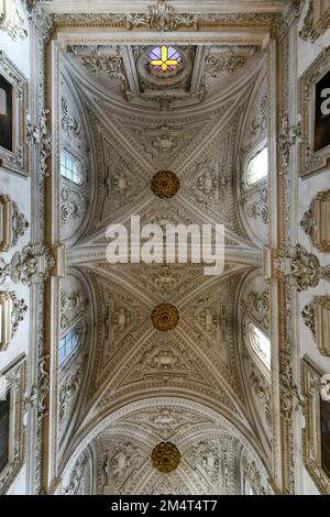 Granada, Spanien - 29. November 2021: Innere des Karthusianischen Klosters Kirche der Himmelfahrt unserer Frau (Monasterio de la Cartuja), Granada, Spanien. Stockfoto