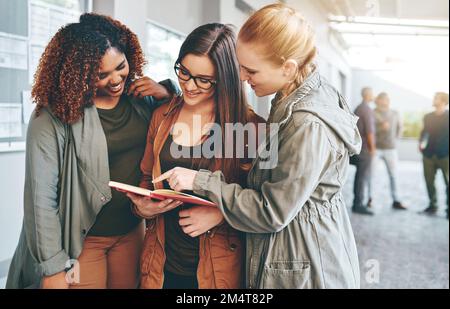 Die letzte Revision vor dem letzten Test. Eine Gruppe junger Schüler, die zusammen auf dem Campus ein Notizbuch lesen. Stockfoto