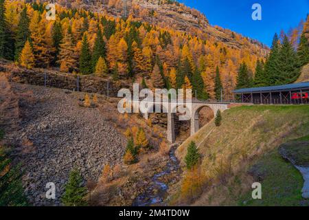 Eine Brigde von der bernina-Express der Rhaezianischen Eisenbahn an einem Herbsttag in der Schweiz Stockfoto