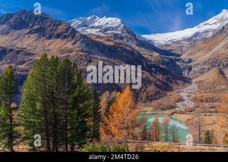 Palue Lake am Bahnhof Alp Gruem Bernina Express an einem Herbsttag, Hintergrund des Berges Bernina Stockfoto