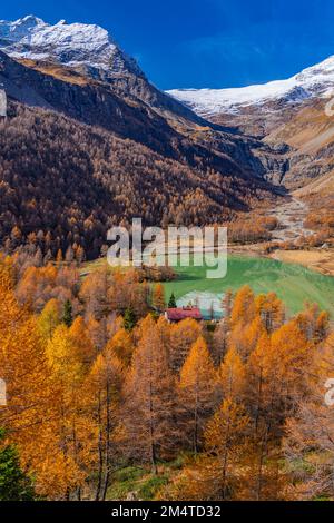 Palue Lake am Bahnhof Alp Gruem Bernina Express an einem Herbsttag, Hintergrund des Berges Bernina Stockfoto