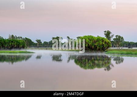 Das berühmte Gelbe Wasser im Kakadu-Nationalpark. Stockfoto