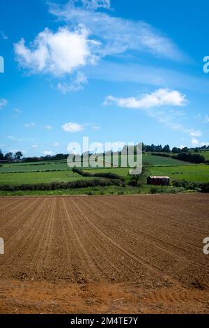 Fruchtbarer Boden auf dem Feld in Pukekohe, einem Marktgärtnergebiet südlich von Auckland, Nordinsel, Neuseeland Stockfoto