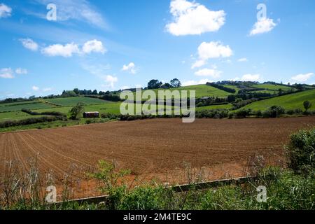 Fruchtbarer Boden auf dem Feld in Pukekohe, einem Marktgärtnergebiet südlich von Auckland, Nordinsel, Neuseeland Stockfoto