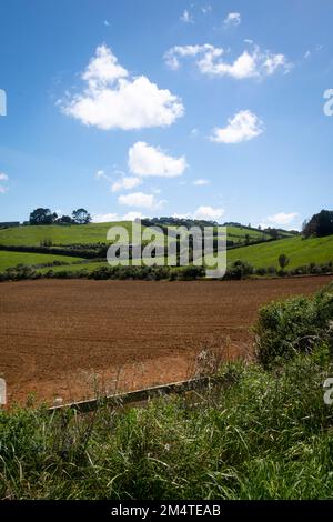 Fruchtbarer Boden auf dem Feld in Pukekohe, einem Marktgärtnergebiet südlich von Auckland, Nordinsel, Neuseeland Stockfoto