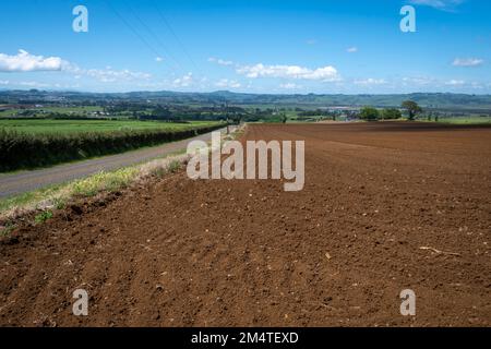 Fruchtbarer Boden auf dem Feld in Pukekohe, einem Marktgärtnergebiet südlich von Auckland, Nordinsel, Neuseeland Stockfoto