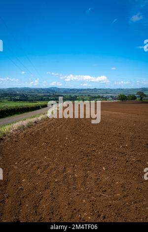 Fruchtbarer Boden auf dem Feld in Pukekohe, einem Marktgärtnergebiet südlich von Auckland, Nordinsel, Neuseeland Stockfoto