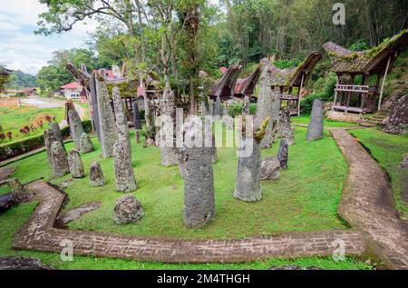 Zeremoniestätte mit Megalithen. Bori Kalimbuang oder Bori Parinding. Es ist eine Kombination aus Zeremonialgründen und Bestattungsstätten. Tana Toraja. Süd-Sulawesi, ich Stockfoto