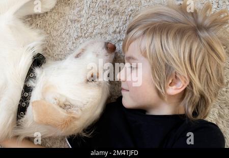 Kopf eines zufriedenen blonden Jungen und eines weißen Hundes, der sich gegenübersteht. Blick von oben. Symmetrie. Haustiere. Glückliche Kindheit. Lifestyle. Sorgfalt und Freude aus Anim Stockfoto