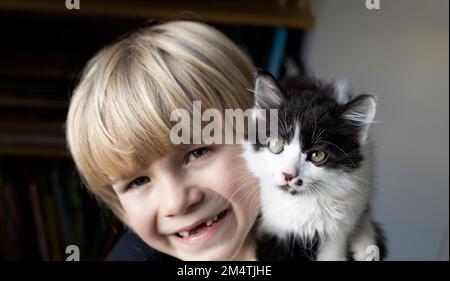 Nahaufnahme des Maulkörpers eines schwarz-weißen Kätzchens mit großen neugierigen Augen und dem Gesicht eines lächelnden Jungen mit Unschärfe. Katzentag. Tiertag. Frohe Kindheit w Stockfoto