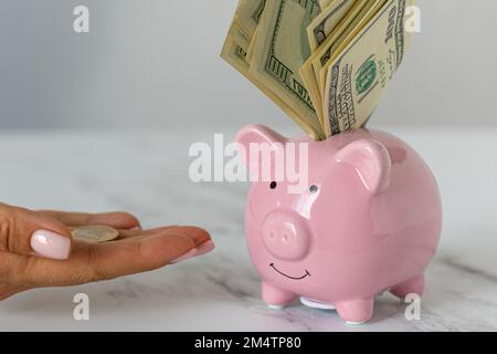 Nahaufnahme eines Sparschweines mit Dollars und einer Frau, die Euromünzen auf dem Bürotisch ausstreut. Wirtschaft, Krise und Inflation. Kostenmanagement Stockfoto