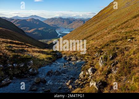 Der Allt A' Choire Mhoir Bergbach fließt in Richtung Loch Long. Stockfoto