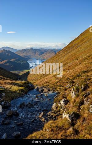 Der Allt A' Choire Mhoir Bergbach fließt in Richtung Loch Long. Stockfoto