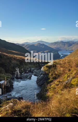 Der Allt A' Choire Mhoir Bergbach fließt in Richtung Loch Long. Stockfoto